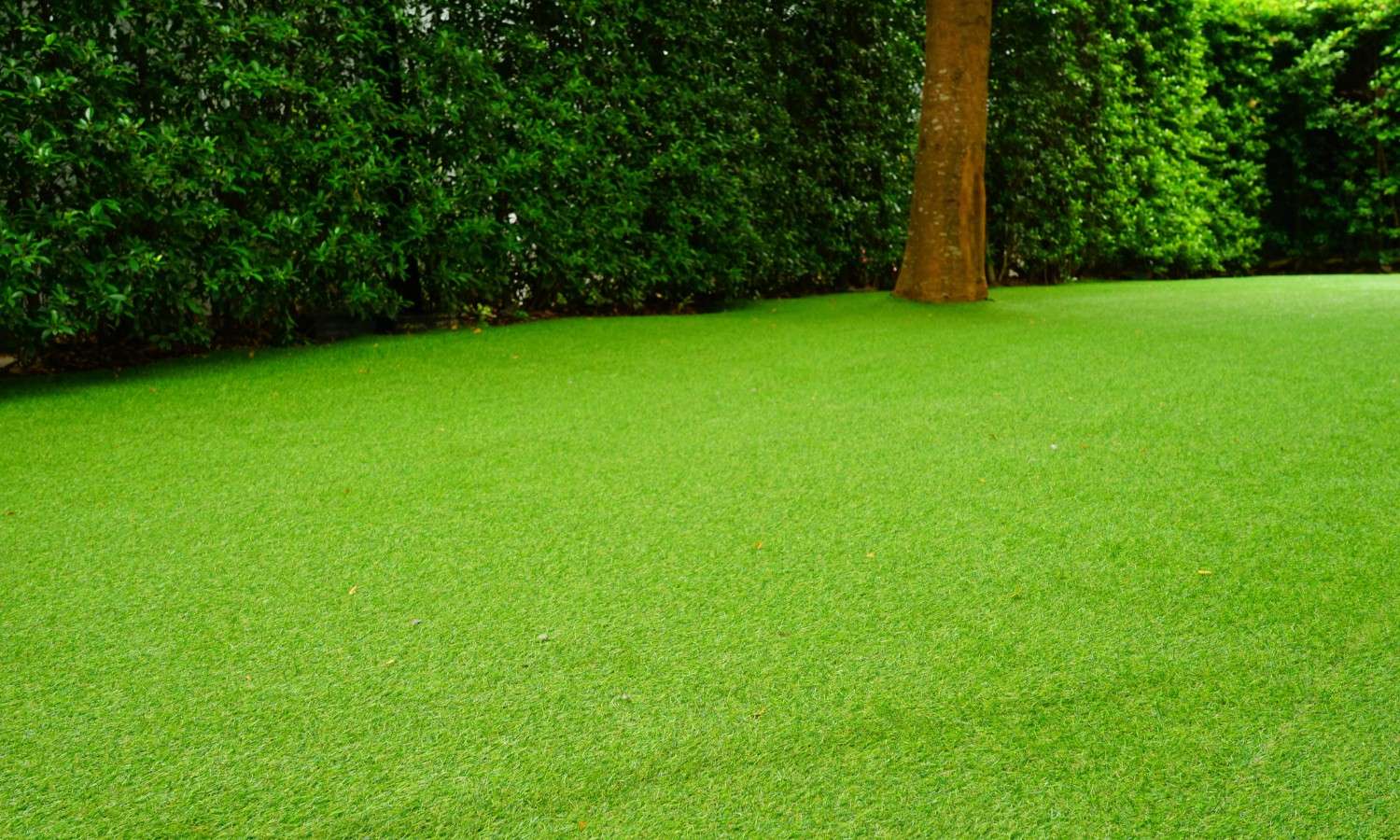 Artificial Grass Dublin & Surrounding Counties