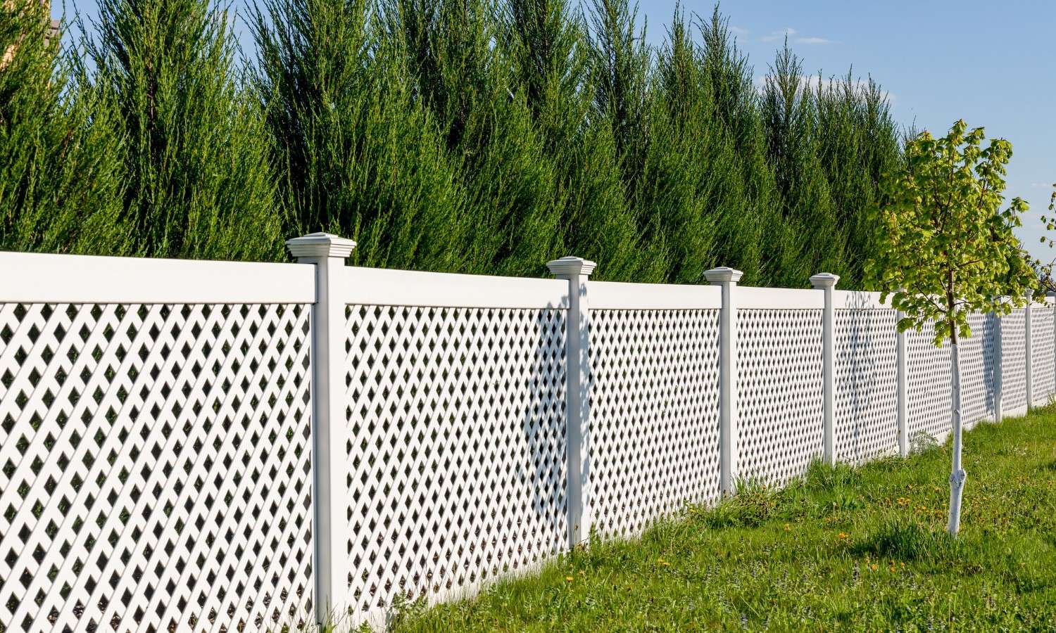 Garden Fence Installation And Repair Dublin & Surrounding Counties