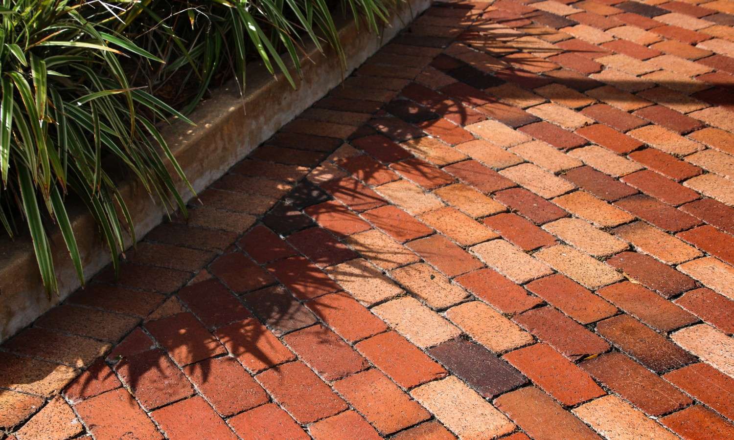 Patio Cleaning & Repair Dublin & Surrounding Counties