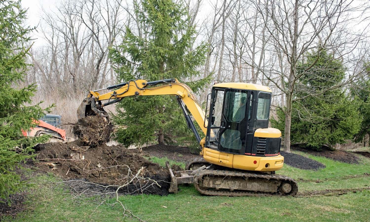 Tree Removals Dublin & Surrounding Counties