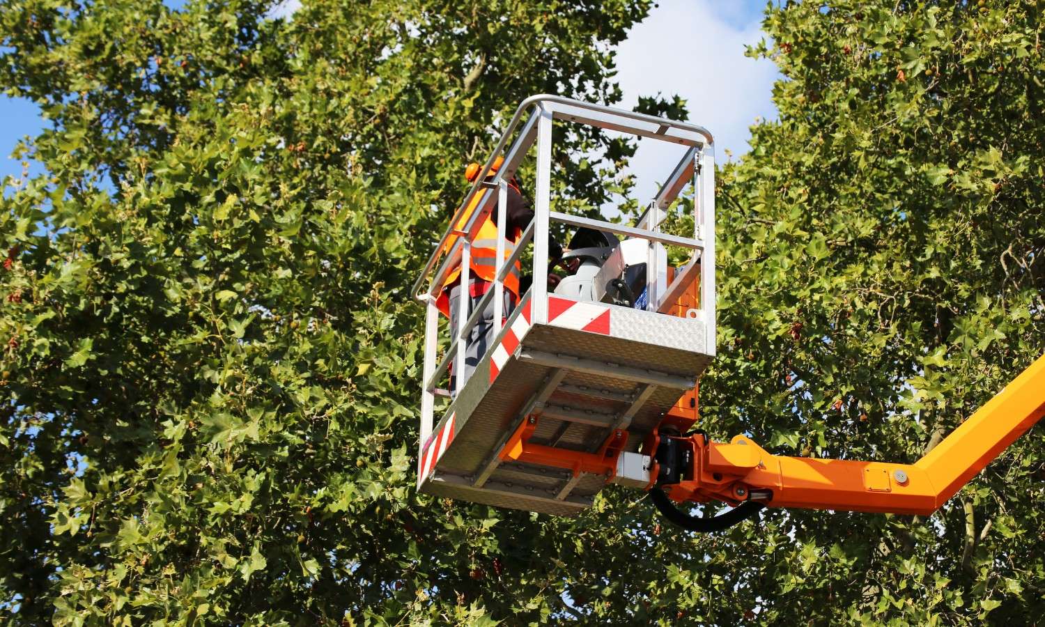 Tree Topping Dublin & Surrounding Counties