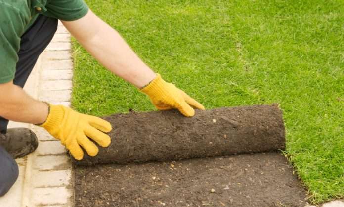 Artificial Grass Installation Dublin